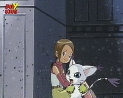 Episode 7